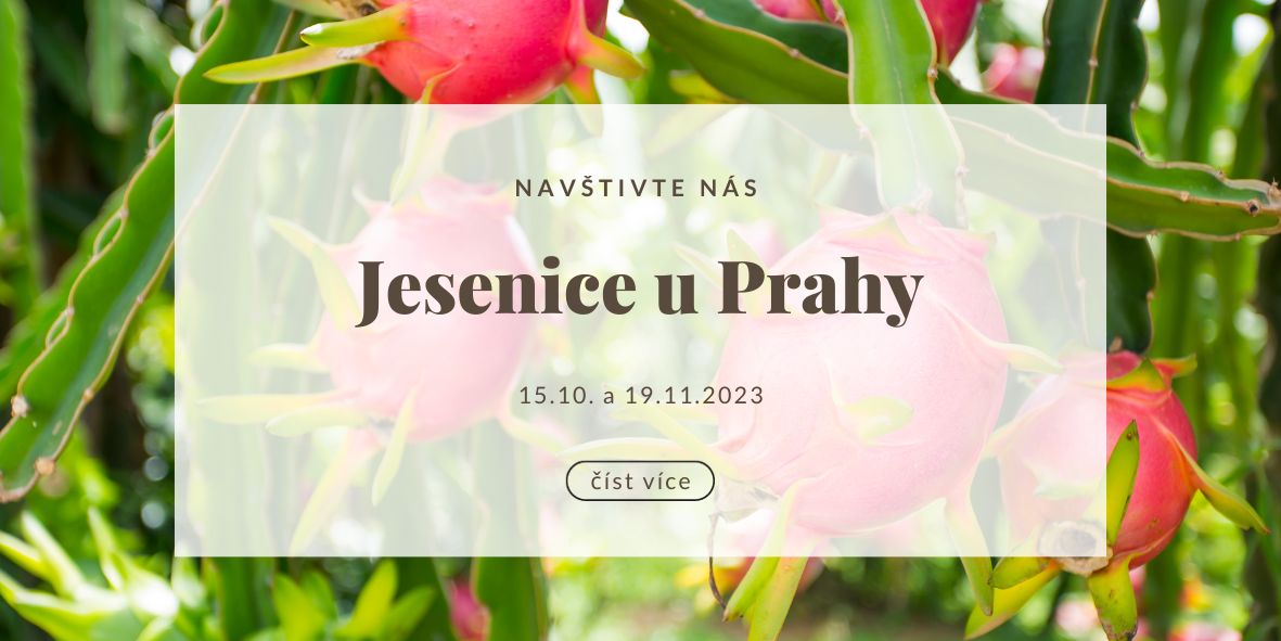 Kde nás najdete